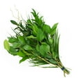thumbnail image 2 of Member's Mark Just Add Blooms Greenery Bouquets, 15 bunches (Choose variety), 2 of 3