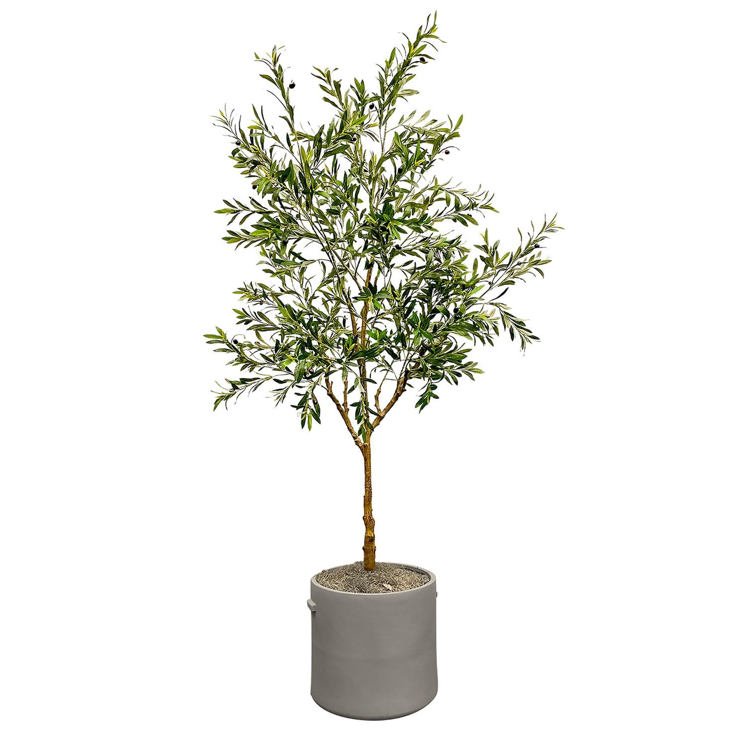 Faux 8' Deluxe Ficus Tree in Oversized Cream Pot - Samsclub.com