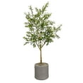 thumbnail image 1 of Faux 8' Olive Tree in Oversized Ceramic Pot, 1 of 6