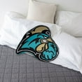 thumbnail image 2 of Logo Brands Coastal Carolina Chanticleers XL Puff Pillow, 2 of 5