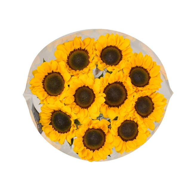 Member's Mark Sunflowers, Assorted, 10 stems