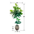 thumbnail image 6 of Faux 8' Fig Tree in Oversized Ceramic Pot, 6 of 6