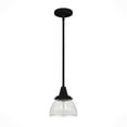 thumbnail image 2 of Hunter Cypress Grove with Clear Holophane Glass 1 Light Pendant Ceiling Light Fixture, 2 of 8