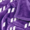 thumbnail image 5 of Logo Brands TCU Horned Frogs 60"x70" Super Plush Blanket, 5 of 7