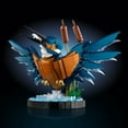 thumbnail image 3 of LEGO Icons Kingfisher Bird Building Set, 834 Pieces, 3 of 6