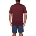 thumbnail image 10 of IZOD Men's Performance Polo, 10 of 13