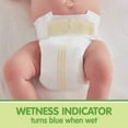 thumbnail image 10 of Member's Mark Premium Baby Diapers (Choose Your Size), 10 of 14