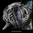 thumbnail image 6 of Dyson V8 Cyclone Cordless Vacuum with Anti-Tangle Brush, 6 of 8