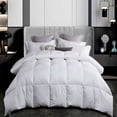 thumbnail image 1 of Martha Stewart 300-Thread-Count White Down Comforter, Various Sizes, 1 of 5