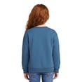 thumbnail image 2 of State of Mine Kids Pennant Picnic Crew Sweatshirt, 2 of 6