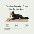 thumbnail image 3 of Member's Mark Lounger Pet Bed, 30"x40", Choose Color, 3 of 4