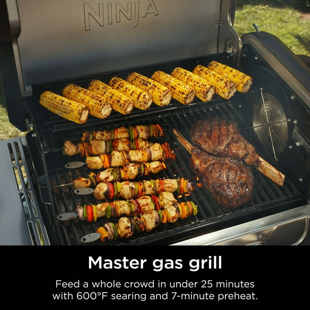 Ninja FlexFlame 5-in-1 Propane Grill & Smoker Outdoor Cooking