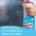 thumbnail image 7 of Windex Original Glass Cleaner, 1 spray bottle + 128 fl. oz. Refill, 7 of 13