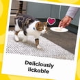 thumbnail image 10 of Temptations Lickable Puree Adult Variety Chicken, Salmon, and Tuna Cat Treats, 32 ct. 0.4 oz. Pouches, 10 of 12