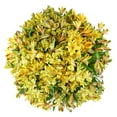 thumbnail image 1 of Member's Mark Alstroemeria, Choose color and stem count, 1 of 1