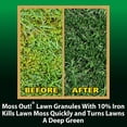 thumbnail image 5 of Moss Out! Plus Fertilizer for Lawns - 20 lbs., 5 of 8