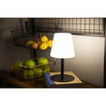 thumbnail image 5 of Light Your Patio Cordless Mini Lamps, Set of 2, 5 of 8