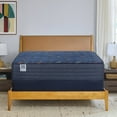 thumbnail image 1 of Sealy Modesto Medium Innerspring Mattress (Special Edition), 1 of 8