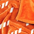 thumbnail image 5 of Logo Brands Clemson Tigers 60"x70" Super Plush Blanket, 5 of 7