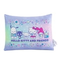 thumbnail image 6 of Kids Licensed 2-Pack Cloud Plush Pillow Set, 20" x 26", 6 of 8