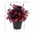 thumbnail image 5 of Artificial 32" Urn Filler in Black Grower's Pot, Assorted Colors, 5 of 5