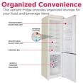 thumbnail image 12 of Frigidaire Retro 9.0 cu. ft. Bottom Mount Refrigerator, 12 of 12