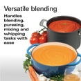 thumbnail image 2 of Hamilton Beach Professional Variable Speed Hand Blender, 2 of 8