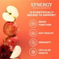 thumbnail image 6 of SYNERGY The Real Kombucha, Honeycrisp Apple, 16 fl. oz., 6 pk., 6 of 6