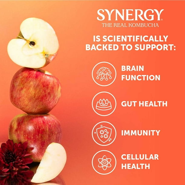 SYNERGY The Real Kombucha, Honeycrisp Apple, 16 fl. oz., 6 pk
