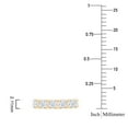 thumbnail image 5 of Lab Created Diamond Tennis Necklace in 14K Gold, 5.00 C.T.T.W., 5 of 7