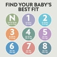 thumbnail image 3 of Member's Mark Premium Baby Diapers, Sizes Newborn - 8, 3 of 17
