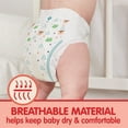 thumbnail image 2 of Member's Mark Premium Baby Diapers (Choose Your Size), 2 of 14
