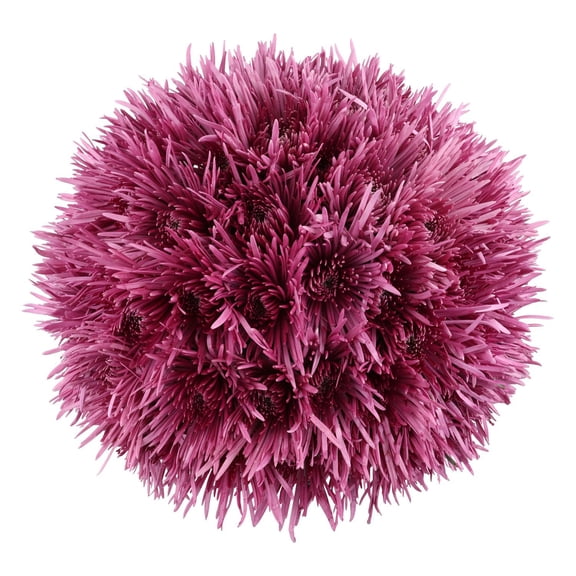 Member's Mark Spider Mums, choose color and stem count