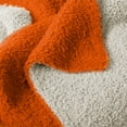 thumbnail image 3 of Logo Brands Texas - San Antonio Roadrunners Luxe Dreams Throw, 60" x 80", 3 of 6