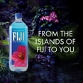 thumbnail image 5 of FIJI Natural Artesian Water 1 Liter, 12 pk., 5 of 8