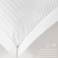 thumbnail image 3 of Thomasville 2-Pack Premium Hotel Pillows, 3 of 7