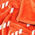 thumbnail image 5 of Logo Brands Cleveland Browns 60"x70" Super Plush Blanket, 5 of 7