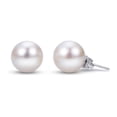 thumbnail image 1 of White Cultured Freshwater Pearl Stud Earrings, 1 of 3