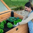 thumbnail image 5 of Backyard Discovery 4' x 2' Mini Greenhouse with Temp-Activated Lid, 5 of 15