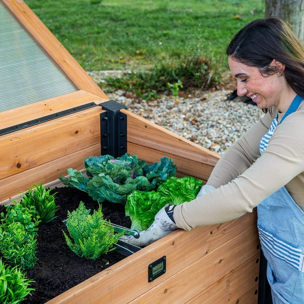 Backyard Discovery 4' x 2' Mini Greenhouse with Temp-Activated Lid