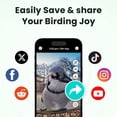 thumbnail image 10 of Birdfy Smart Metal Bird Feeder with Built-in Solar Panel and AI Camera, 10 of 12