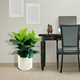 thumbnail image 3 of Artificial Premium Rubber Plant in Fluted Off White Pot, 3 of 5