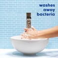thumbnail image 6 of Softsoap Antibacterial Liquid Hand Soap, 11.25 fl. oz., 4 pk., 6 of 9
