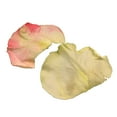 thumbnail image 7 of Member's Mark Illusion Roses, 96 stems, Choose color variety, 7 of 7