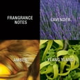 thumbnail image 2 of Paul Sebastian Fine Cologne Spray 2 Piece Fragrance Bundle, 4 fl oz, 2 of 5