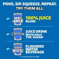thumbnail image 8 of Capri Sun 100% Juice Variety Pack, 6 fl. oz. pouches, 40 pk., 8 of 10