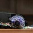 thumbnail image 5 of Shark HydroVac Cordless Pro XL 3-in-1 Vacuum, Mop, and Self-Cleaning System, 5 of 11