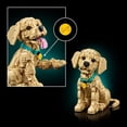 thumbnail image 6 of LEGO  Golden Retriever Puppy 11384, 6 of 7