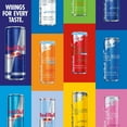 thumbnail image 10 of Red Bull Energy Drink, Watermelon 12 fl. oz., 24 pk., 10 of 11