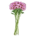 thumbnail image 3 of Member's Mark Pompon Daisies, 90 stems (Choose color), 3 of 4